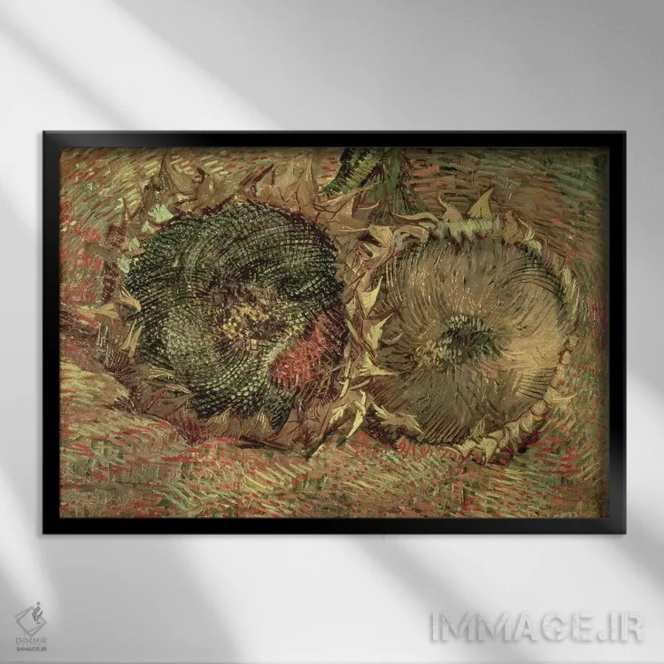 تابلو 1887,دو گل آفتابگردان بریده، ۱۸۸۷ اثر ونسان ون گوگ (نقاش مشهور هلندی پستامپرسیونیسم) - نمای قابدار مشکی