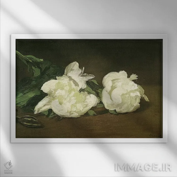 تابلو 1864,شاخهای از گل صدتومانی سفید و قیچی باغبانی، ۱۸۶۴ اثر ادوارد مانه (نقاش معروف فرانسوی) - نمای قابدار سفید