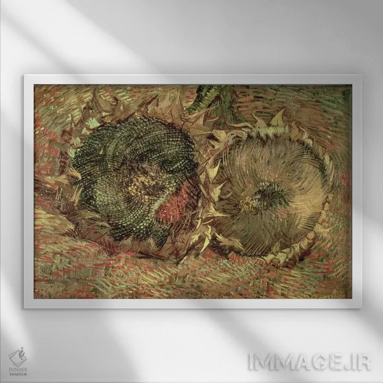 تابلو 1887,دو گل آفتابگردان بریده، ۱۸۸۷ اثر ونسان ون گوگ (نقاش مشهور هلندی پستامپرسیونیسم) - نمای قابدار سفید