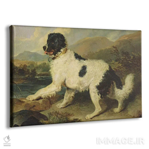تابلو سگ نیوفاندلند به نام شیر، ۱۸۲۴ اثر سر ادوین لندسییر (نقاش انگلیسی) - نمای پرسپکتیو محصول