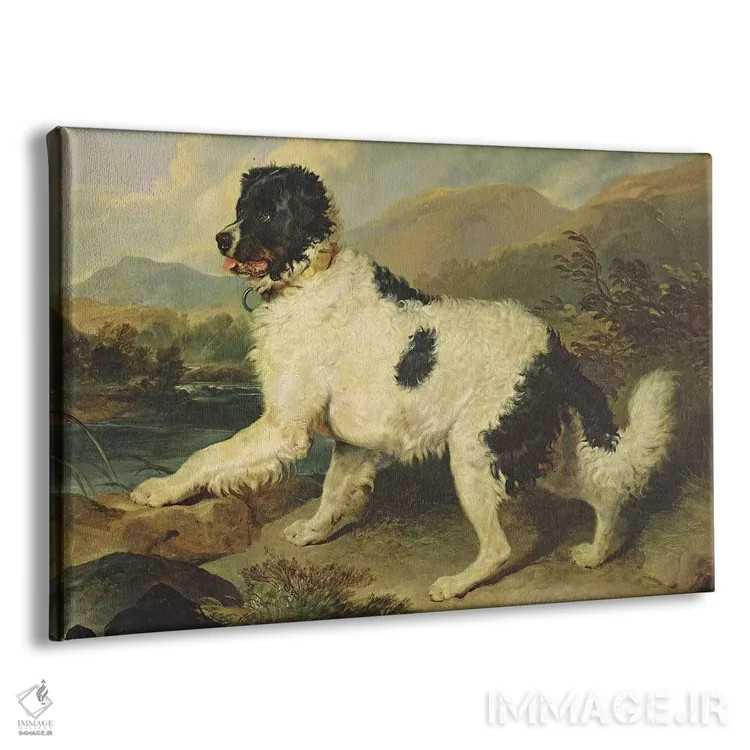 تابلو سگ نیوفاندلند به نام شیر، ۱۸۲۴ اثر سر ادوین لندسییر (نقاش انگلیسی) - نمای پرسپکتیو محصول