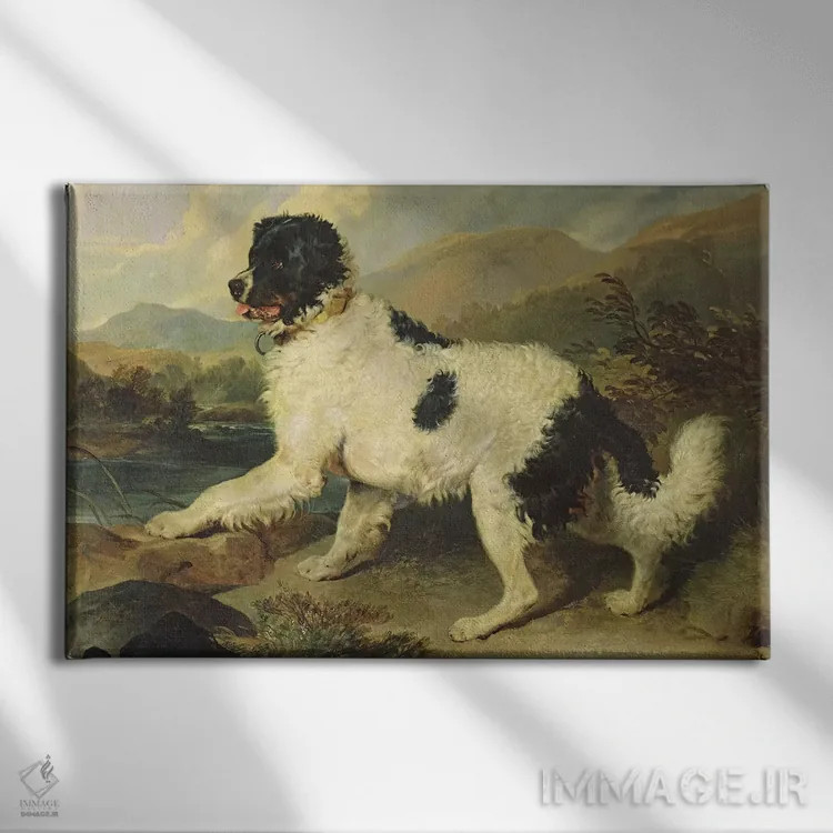 تابلو سگ نیوفاندلند به نام شیر، ۱۸۲۴ اثر سر ادوین لندسییر (نقاش انگلیسی) - نمای روبهرو روی دیوار