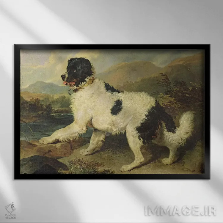 تابلو سگ نیوفاندلند به نام شیر، ۱۸۲۴ اثر سر ادوین لندسییر (نقاش انگلیسی) - نمای قابدار مشکی