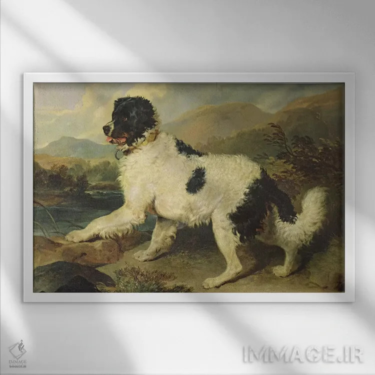 تابلو سگ نیوفاندلند به نام شیر، ۱۸۲۴ اثر سر ادوین لندسییر (نقاش انگلیسی) - نمای قابدار سفید