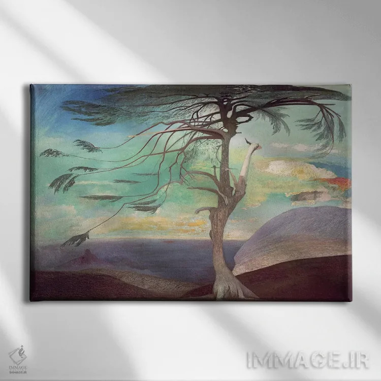 تابلو سرو تنها، ۱۹۰۷ اثر تیوادور شونتواری کوستکا (نقاش مجار) - نمای روبهرو روی دیوار