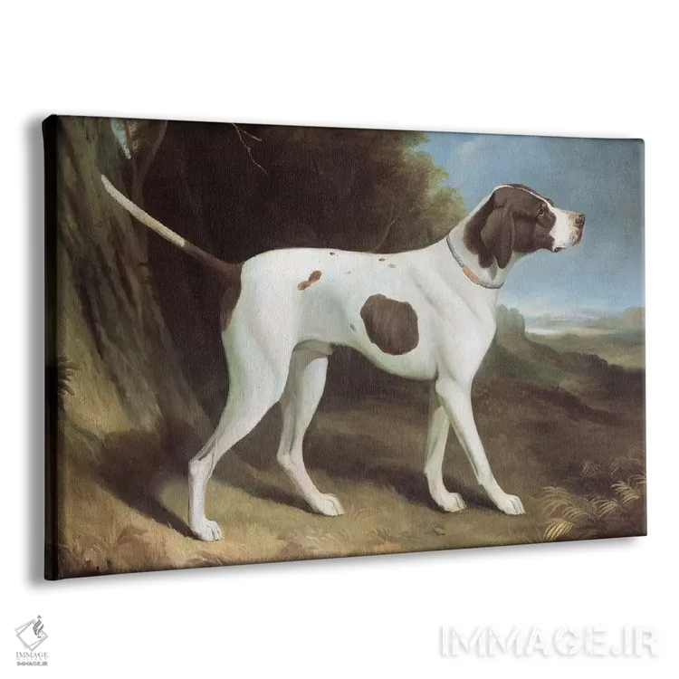 تابلو پرترهٔ پوینتر جگری و سفید (سگ) اثر جورج گاراد - نمای پرسپکتیو محصول