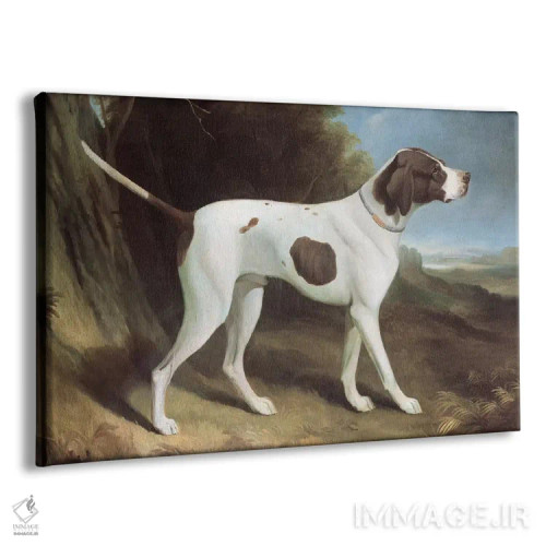 تابلو پرترهٔ پوینتر جگری و سفید (سگ) اثر جورج گاراد - نمای پرسپکتیو محصول