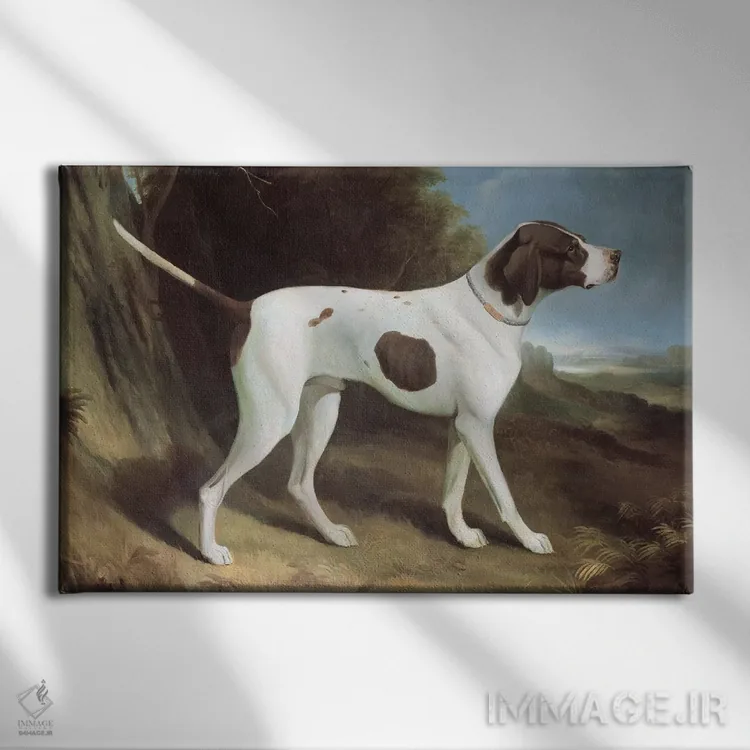 تابلو پرترهٔ پوینتر جگری و سفید (سگ) اثر جورج گاراد - نمای روبهرو روی دیوار