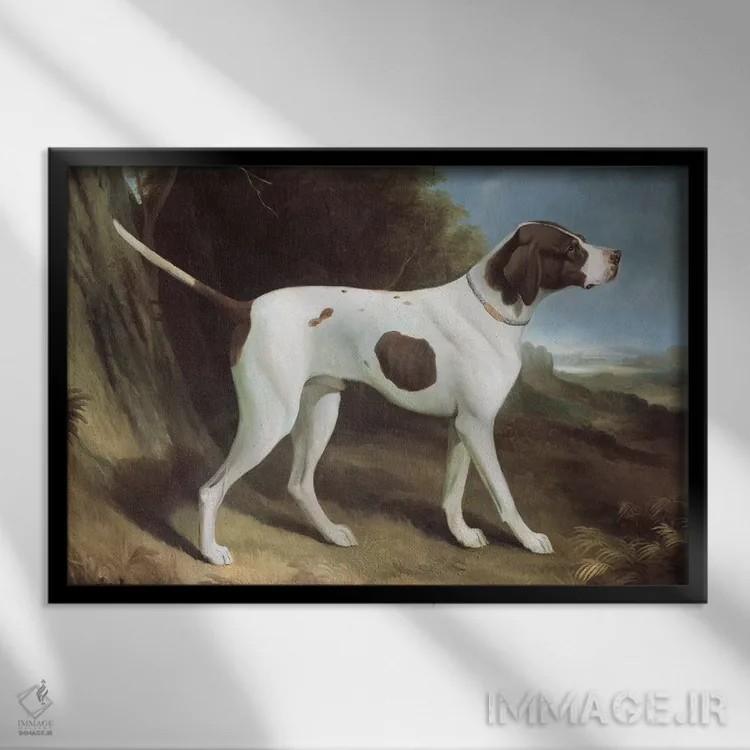 تابلو پرترهٔ پوینتر جگری و سفید (سگ) اثر جورج گاراد - نمای قابدار مشکی