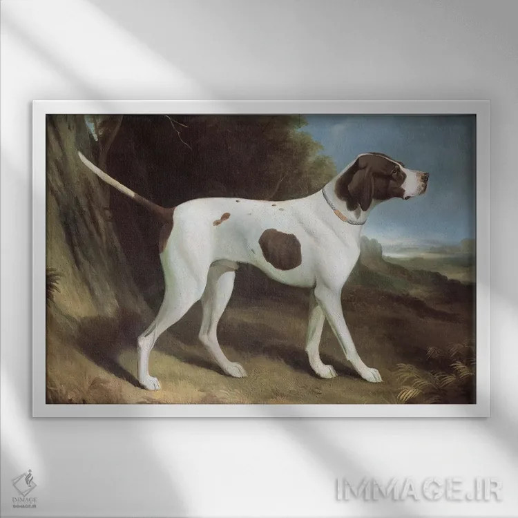 تابلو پرترهٔ پوینتر جگری و سفید (سگ) اثر جورج گاراد - نمای قابدار سفید