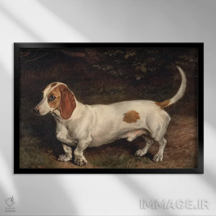 تابلو داشهاوند محبوب (سگ) اثر فرانک پاتون - نمای قابدار مشکی