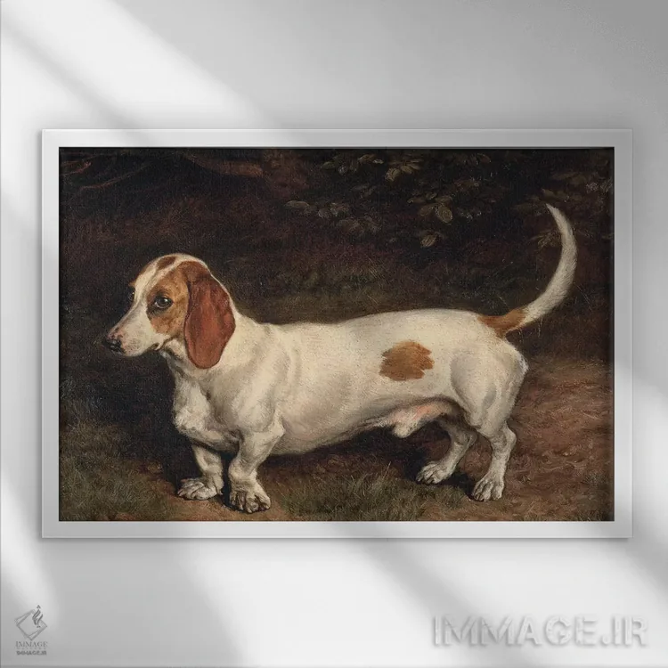 تابلو داشهاوند محبوب (سگ) اثر فرانک پاتون - نمای قابدار سفید
