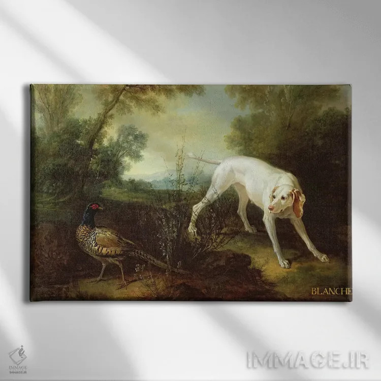 تابلو بلانش، مادهسگ دستیار شکار سلطنتی اثر ژان باتیست اودری - نمای روبهرو روی دیوار