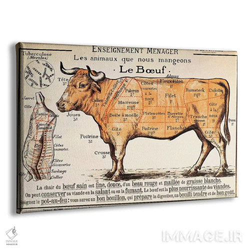 تابلو گوشت گاو: نمودار قطعات مختلف گوشت اثر مکتب فرانسوی (سبک یا جریان هنری) - نمای پرسپکتیو محصول