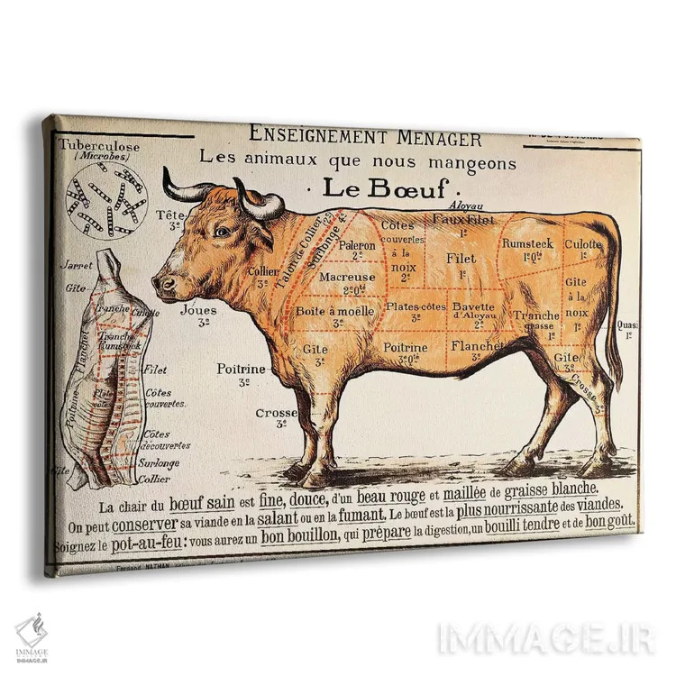 تابلو گوشت گاو: نمودار قطعات مختلف گوشت اثر مکتب فرانسوی (سبک یا جریان هنری) - نمای پرسپکتیو محصول