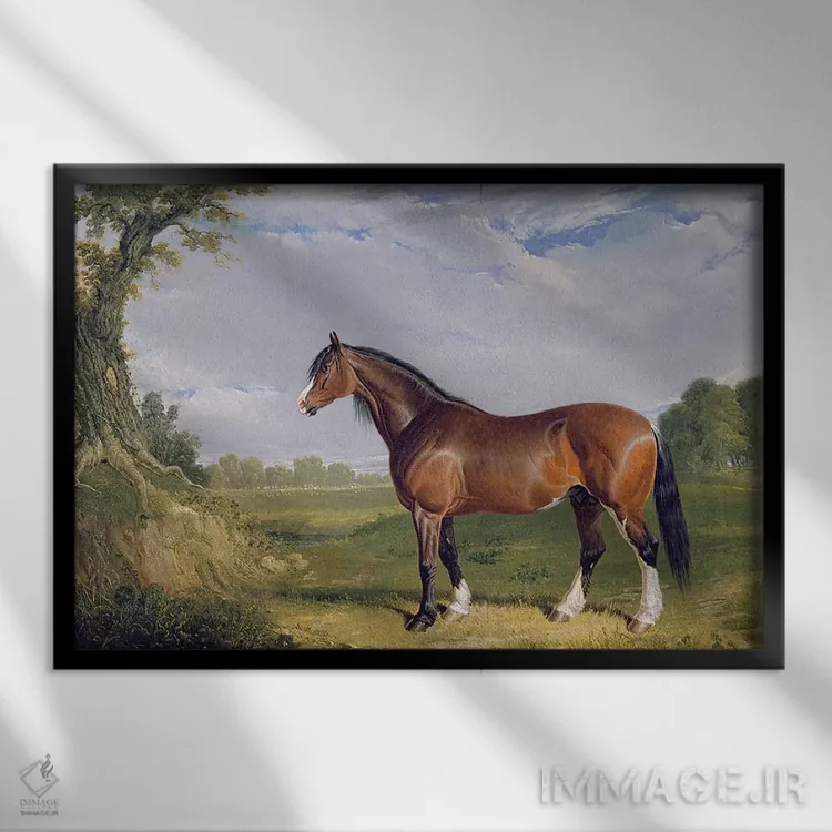 تابلو اسب نر کلایدزدیل، ۱۸۲۰ اثر جان فردریک هرینگ سینیور - نمای قابدار مشکی