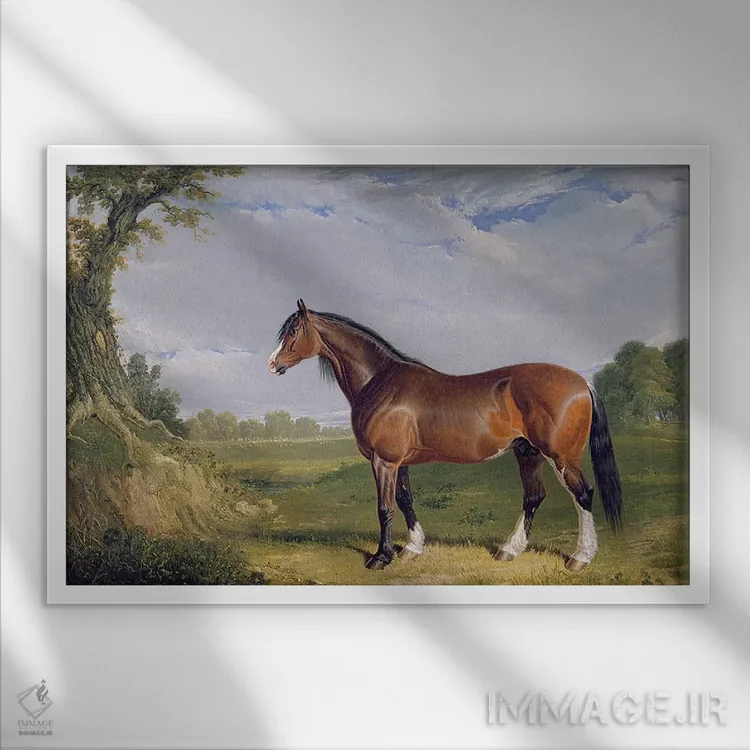 تابلو اسب نر کلایدزدیل، ۱۸۲۰ اثر جان فردریک هرینگ سینیور - نمای قابدار سفید