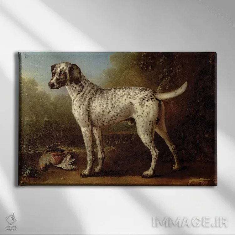 تابلو سگ شکاری خاکستری خالدار، ۱۷۳۸ اثر جان ووتون - نمای روبهرو روی دیوار