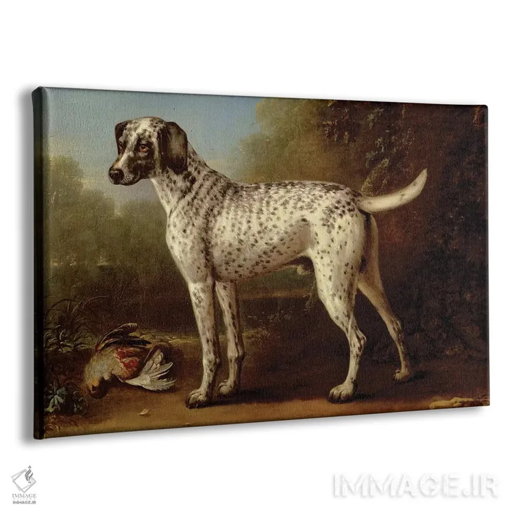 تابلو سگ شکاری خاکستری خالدار، ۱۷۳۸ اثر جان ووتون - نمای پرسپکتیو محصول
