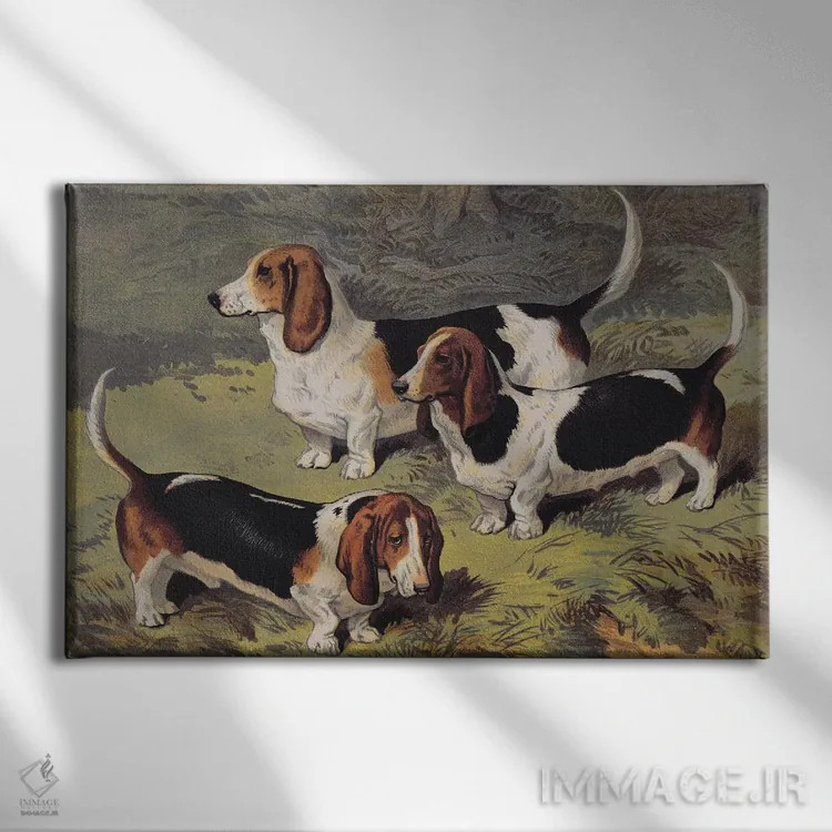 تابلو سگهای باست، ۱۸۹۰ اثر مکتب انگلیسی (سبک یا جنبش هنری) - نمای روبهرو روی دیوار