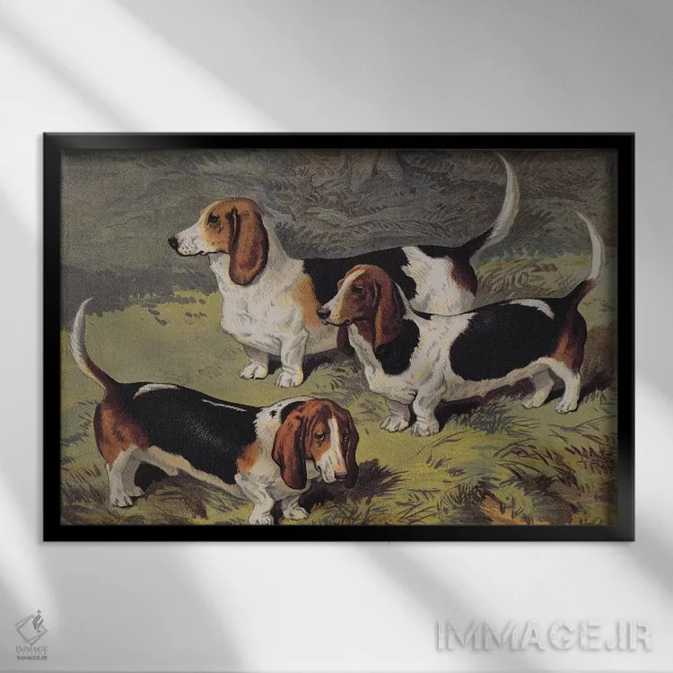 تابلو سگهای باست، ۱۸۹۰ اثر مکتب انگلیسی (سبک یا جنبش هنری) - نمای قابدار مشکی