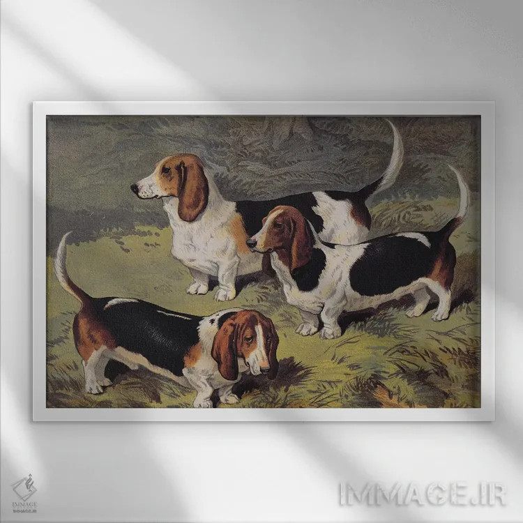 تابلو سگهای باست، ۱۸۹۰ اثر مکتب انگلیسی (سبک یا جنبش هنری) - نمای قابدار سفید