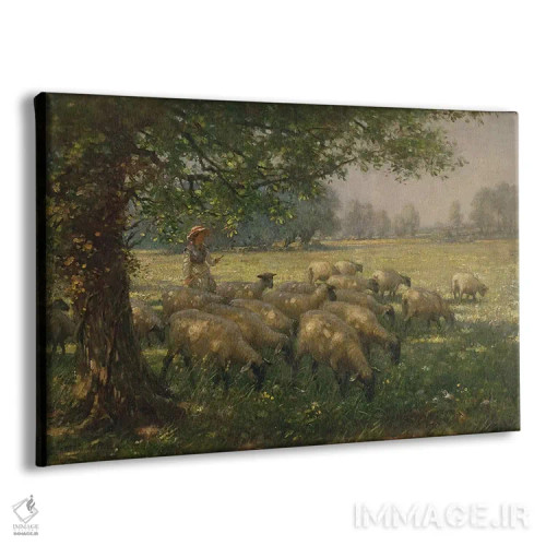 تابلو چوپان دختر اثر ویلیام کی بلکلاک - نمای پرسپکتیو محصول