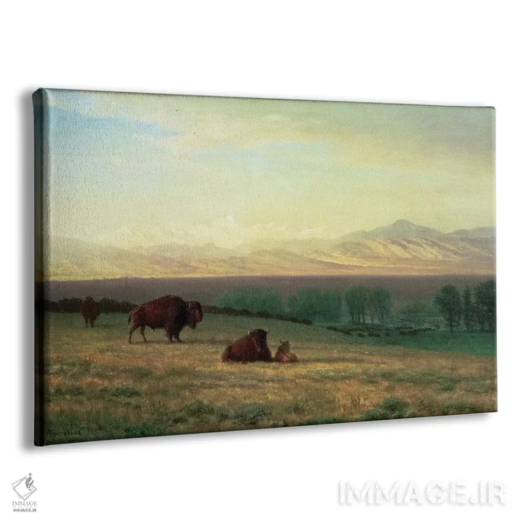 تابلو c.1890,بوفالو در دشتها، حدود ۱۸۹۰ اثر آلبرت بیرشتات (نقاش منظره آمریکایی) - نمای پرسپکتیو محصول