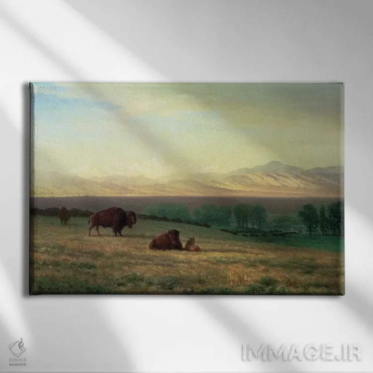 تابلو c.1890,بوفالو در دشتها، حدود ۱۸۹۰ اثر آلبرت بیرشتات (نقاش منظره آمریکایی) - نمای روبهرو روی دیوار