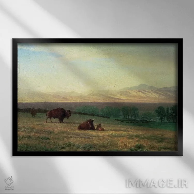 تابلو c.1890,بوفالو در دشتها، حدود ۱۸۹۰ اثر آلبرت بیرشتات (نقاش منظره آمریکایی) - نمای قابدار مشکی