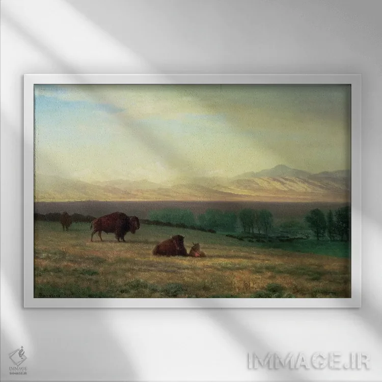 تابلو c.1890,بوفالو در دشتها، حدود ۱۸۹۰ اثر آلبرت بیرشتات (نقاش منظره آمریکایی) - نمای قابدار سفید