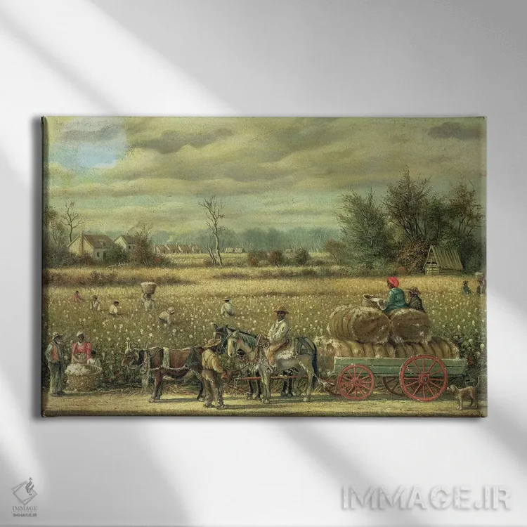 تابلو پنبهچینی اثر ویلیام آیکن واکر - نمای روبهرو روی دیوار