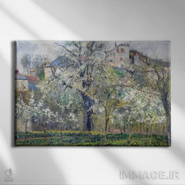 تابلو باغ سبزیجات با درختان شکوفهدار، بهار، پونتواز، ۱۸۷۷ اثر کامی یِل پیسارو (نقاش فرانسوی امپرسیونیست) - نمای روبهرو روی دیوار