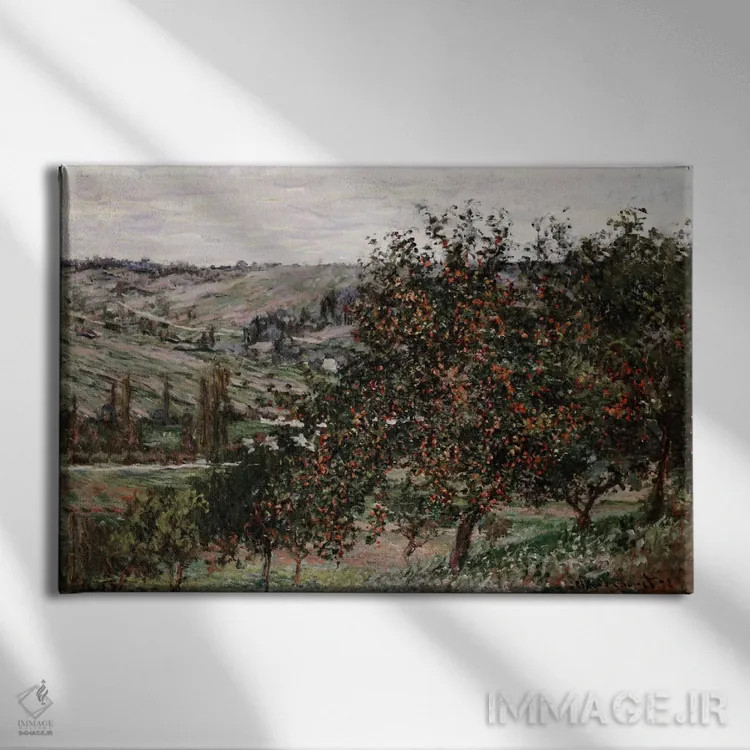تابلو درختان سیب نزدیک وتهوی اثر کلود مونه (نقاش معروف فرانسوی) - نمای روبهرو روی دیوار