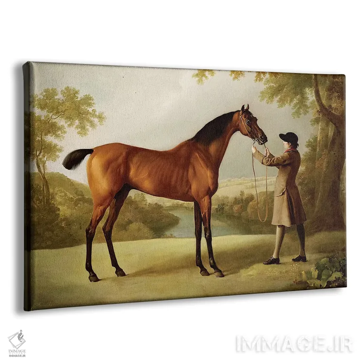 تابلو تریسترام شندی، اسب مسابقهای قهوهای در دست یراقکِش در منظر گسترده، حدود ۱۷۶۰ اثر جورج استابز (نقاش حیوانات انگلیسی) - نمای پرسپکتیو محصول