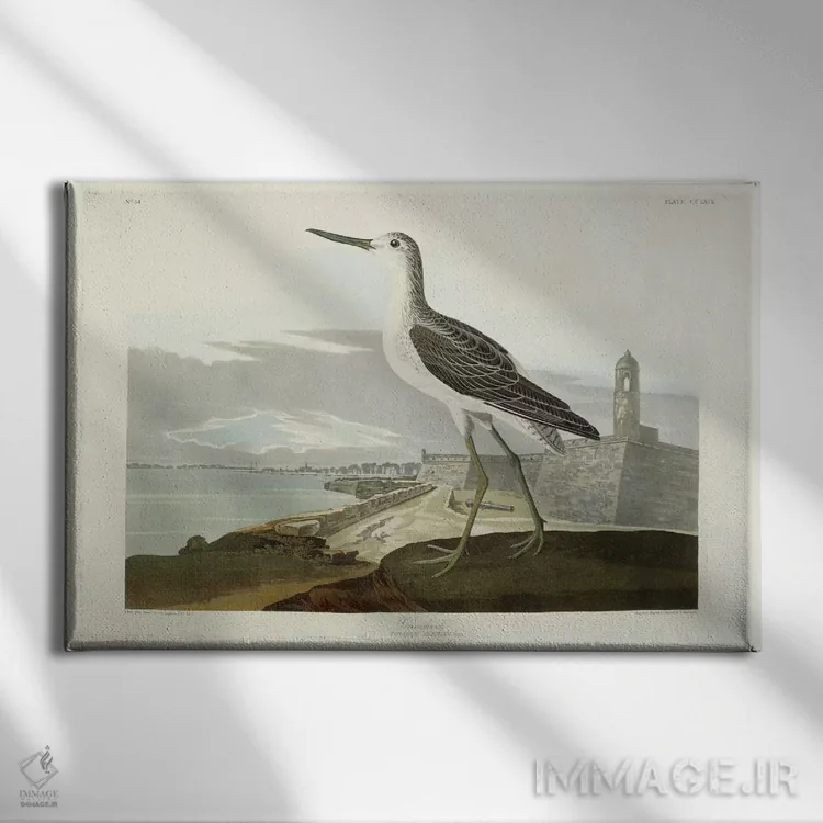 تابلو View of the St, 1835,گرینشنک (نوعی پرنده آبزی)، منظره سنت، ۱۸۳۵ اثر جان جیمز آدوبون (نقاش و پرندهشناس) - نمای روبهرو روی دیوار