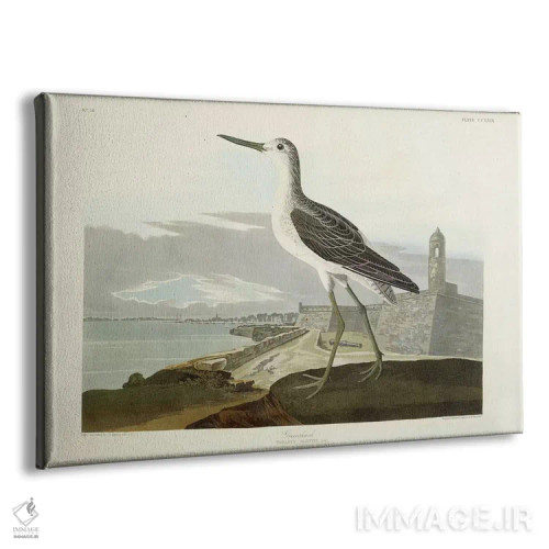 تابلو View of the St, 1835,گرینشنک (نوعی پرنده آبزی)، منظره سنت، ۱۸۳۵ اثر جان جیمز آدوبون (نقاش و پرندهشناس) - نمای پرسپکتیو محصول
