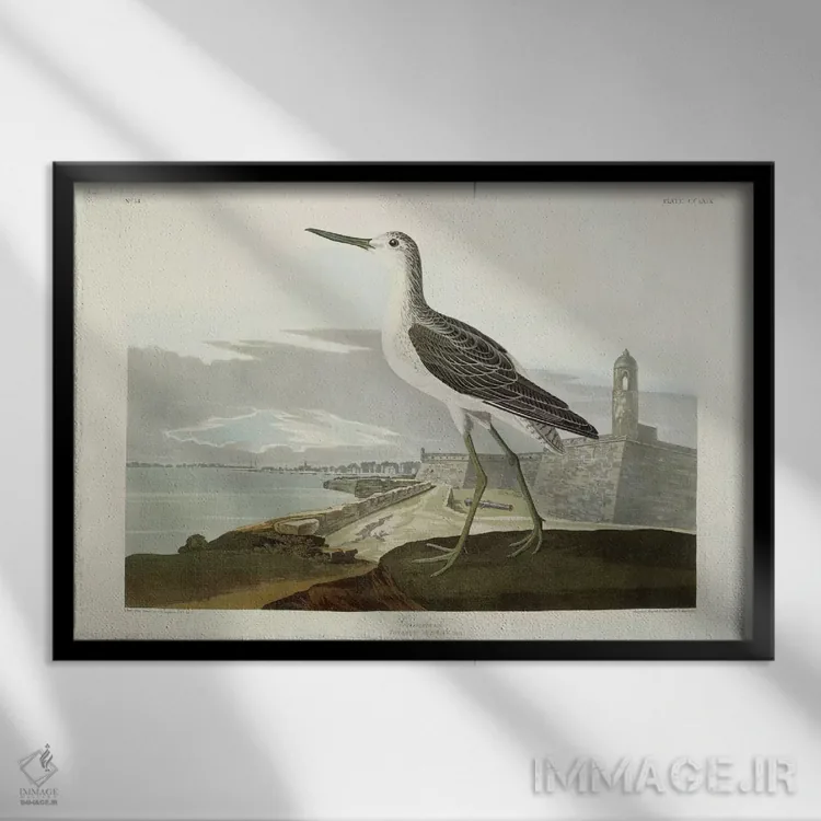 تابلو View of the St, 1835,گرینشنک (نوعی پرنده آبزی)، منظره سنت، ۱۸۳۵ اثر جان جیمز آدوبون (نقاش و پرندهشناس) - نمای قابدار مشکی