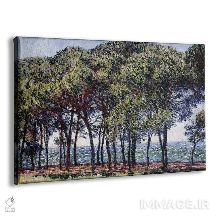 تابلو Cap d'Antibes, 1888،کاج‌ها، دماغه آنتیب، ۱۸۸۸ اثر کلود مونه (نقاش معروف فرانسوی) - نمای پرسپکتیو محصول