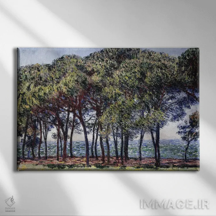 تابلو Cap d'Antibes, 1888،کاجها، دماغه آنتیب، ۱۸۸۸ اثر کلود مونه (نقاش معروف فرانسوی) - نمای روبهرو روی دیوار