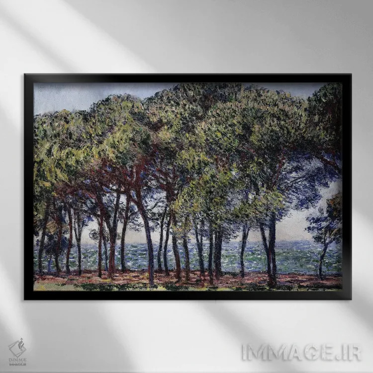 تابلو Cap d'Antibes, 1888،کاجها، دماغه آنتیب، ۱۸۸۸ اثر کلود مونه (نقاش معروف فرانسوی) - نمای قابدار مشکی