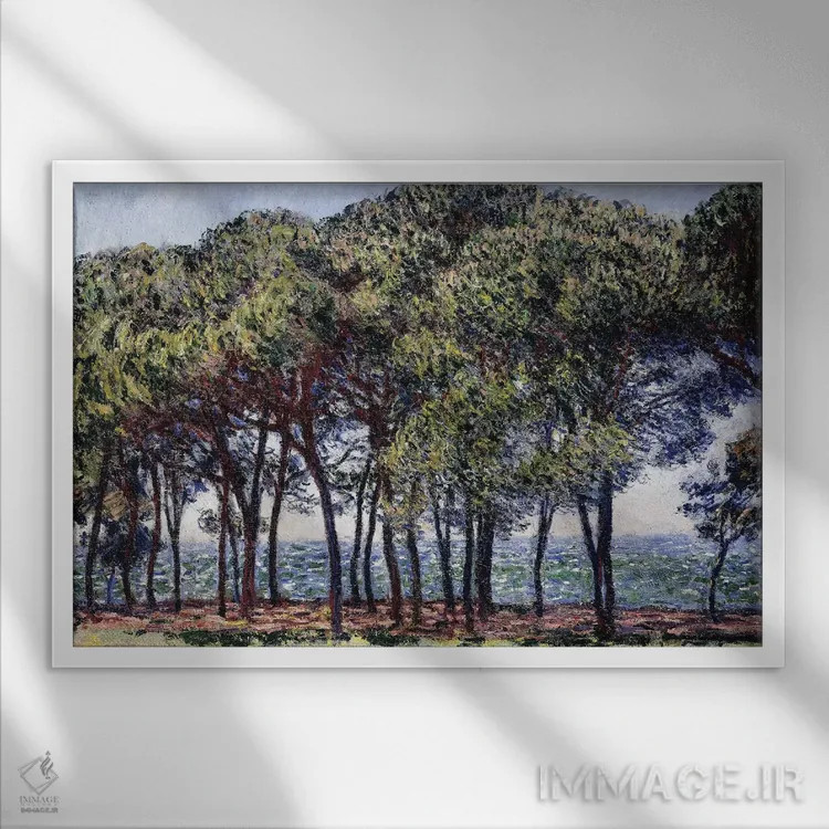 تابلو Cap d'Antibes, 1888،کاجها، دماغه آنتیب، ۱۸۸۸ اثر کلود مونه (نقاش معروف فرانسوی) - نمای قابدار سفید