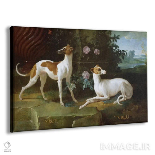 تابلو میسه و تورلو، دو تازی متعلق به لویی پانزدهم (فرانسه) اثر ژان باتیست اودری - نمای پرسپکتیو محصول