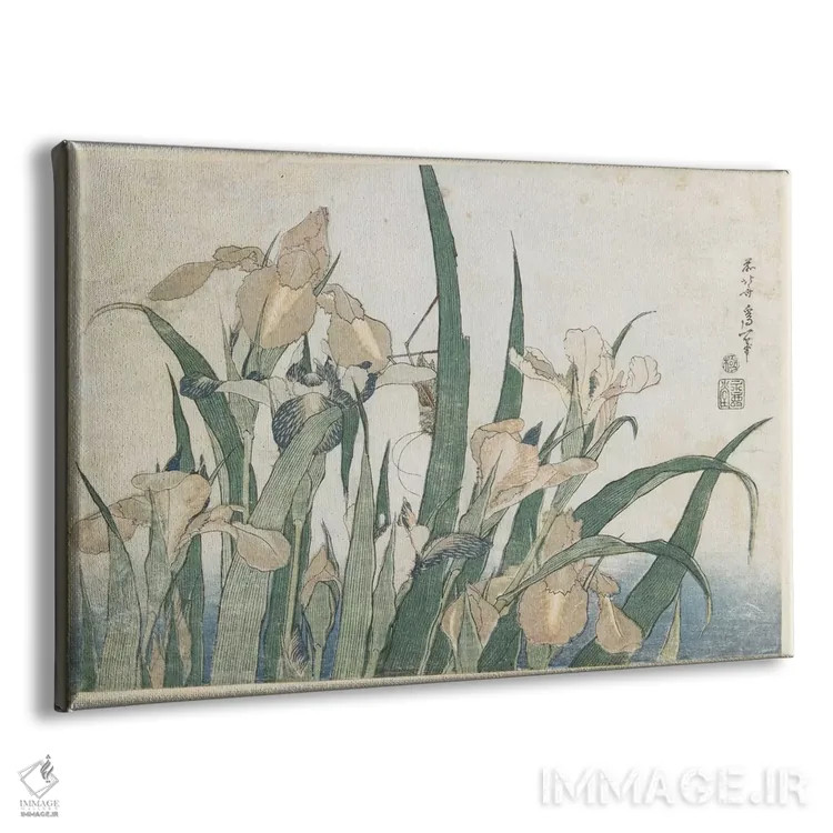 تابلو گلهای زنبق و ملخ، حدود ۱۸۳۰-۱۸۳۱ اثر کاتسوشیکا هوکوسای (نقاش و هنرمند ژاپنی) - نمای پرسپکتیو محصول