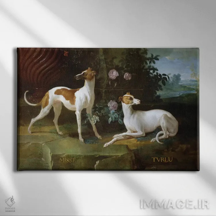 تابلو میسه و تورلو، دو تازی متعلق به لویی پانزدهم (فرانسه) اثر ژان باتیست اودری - نمای روبهرو روی دیوار