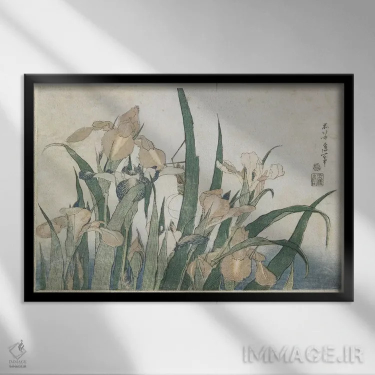 تابلو گلهای زنبق و ملخ، حدود ۱۸۳۰-۱۸۳۱ اثر کاتسوشیکا هوکوسای (نقاش و هنرمند ژاپنی) - نمای قابدار مشکی