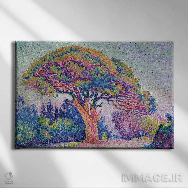 تابلو درخت کاج در سنت تروپه، ۱۹۰۹ اثر پل سیگنک - نمای روبهرو روی دیوار