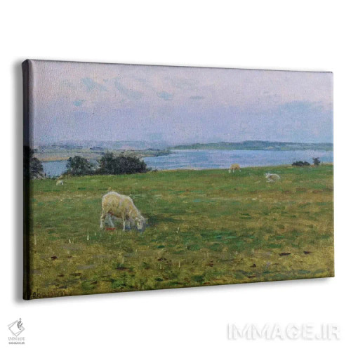 تابلو گوسفندان در حال چرا، اوستربی، اسکاگن (دانمارک) اثر ویگو یوهانسن (نقاش دانمارکی) - نمای پرسپکتیو محصول
