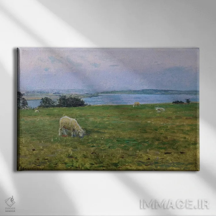 تابلو گوسفندان در حال چرا، اوستربی، اسکاگن (دانمارک) اثر ویگو یوهانسن (نقاش دانمارکی) - نمای روبهرو روی دیوار