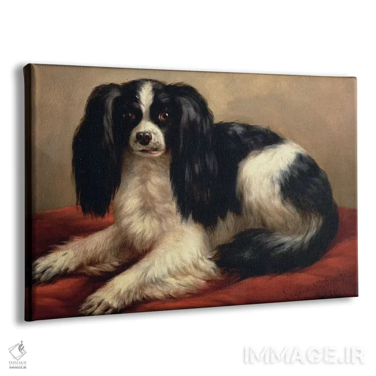 تابلو اسپانیل کینگ چارلز نشسته بر بالشت قرمز اثر اوژن ژوزف وربکوون (نقاش بلژیکی) - نمای پرسپکتیو محصول